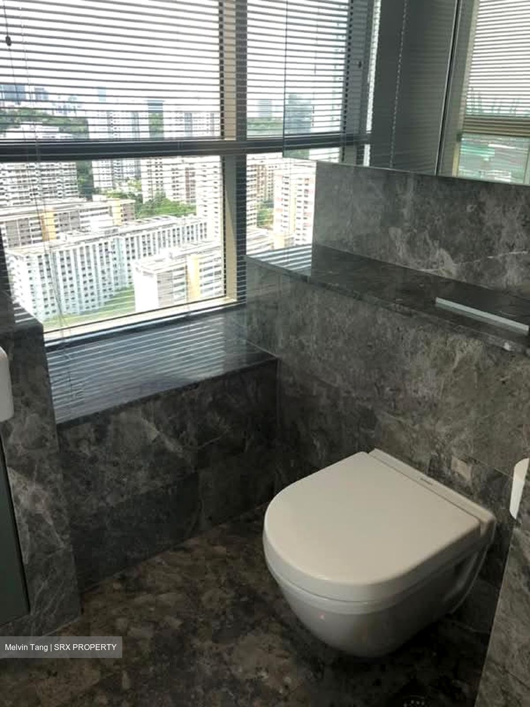 Skyline Residences (D4), Condominium #584969761
